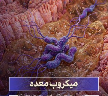 میکروب معده یا هلیکوباکتر پیلوری چیست؟