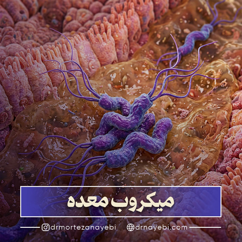 میکروب معده یا هلیکوباکتر پیلوری چیست؟