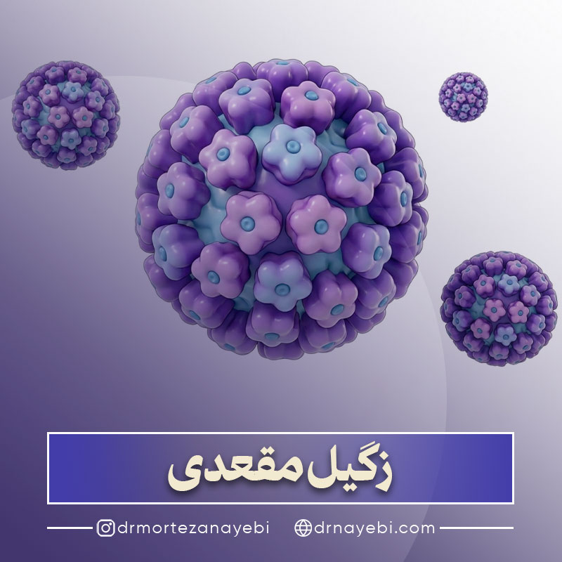 زگیل مقعدی چیست؟
